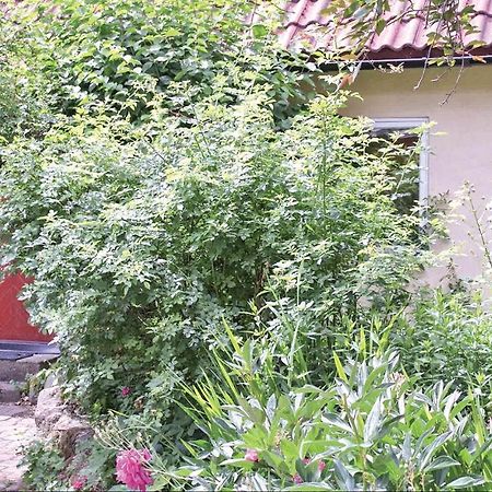 1 Bedroom Beautiful Home In Tomelilla Kültér fotó